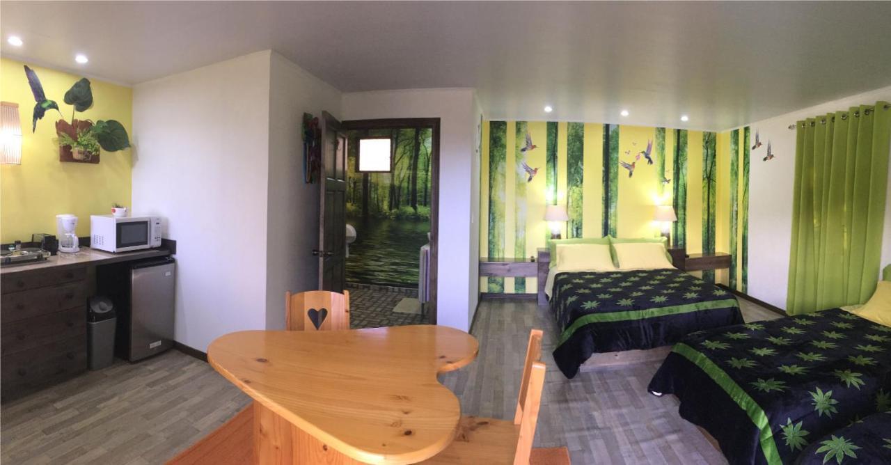 Paris Confort B&B Monteverde Exterior photo
